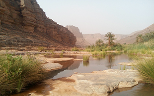 Oase Iherir, Algerien