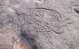 Felsgravur einer Gazelle, Oase Dider, Algerien