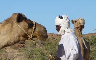Ein Kameltreiber &ndash; Chamelier &ndash; vom Stamm der Tubu, Tschad